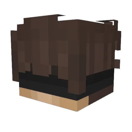 swigm_ Minecraft avatar head, 3D render