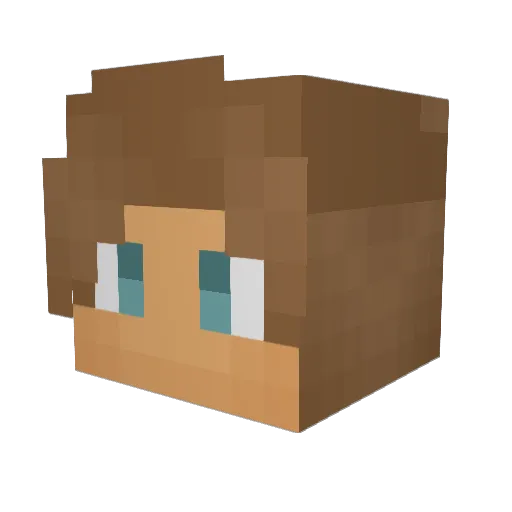 swimbly Minecraft avatar head, 3D render