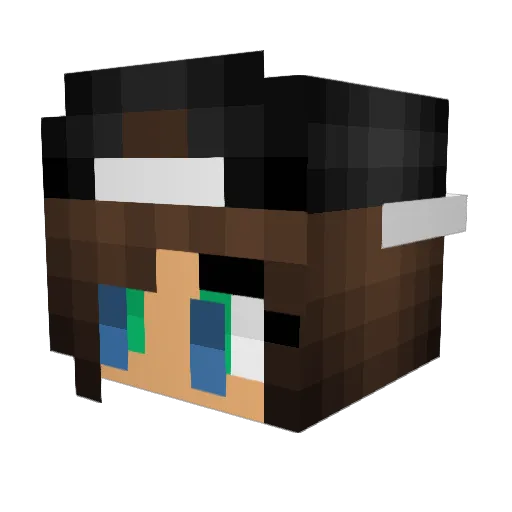 swimgirl24 Minecraft avatar head, 3D render