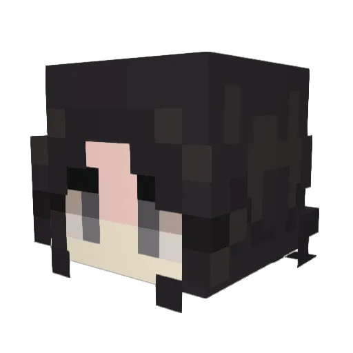 swimm0108 Minecraft avatar head, 3D render
