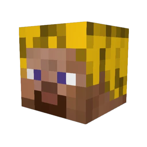 swimmer4life28 Minecraft avatar head, 3D render