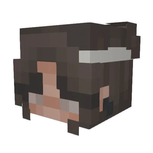 swimminboy13 Minecraft avatar head, 3D render