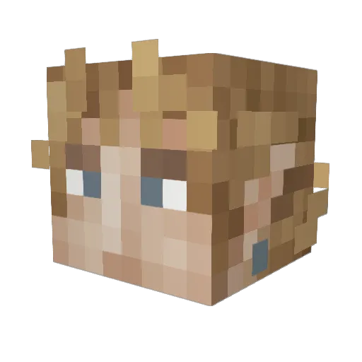 swimp__ Minecraft avatar head, 3D render