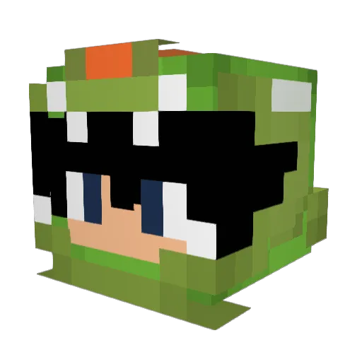 swimshady420 Minecraft avatar head, 3D render