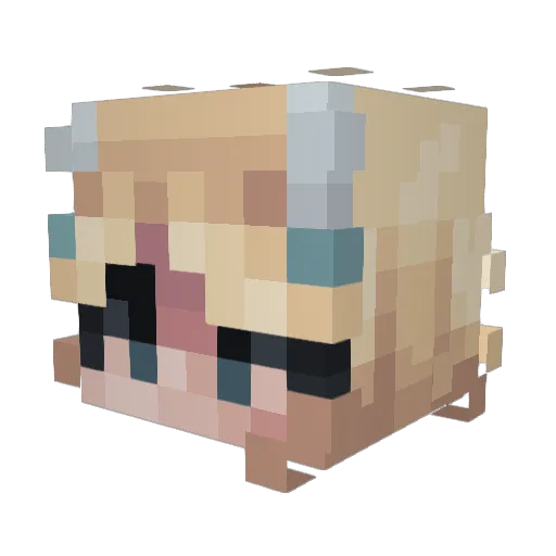 swindi Minecraft avatar head, 3D render
