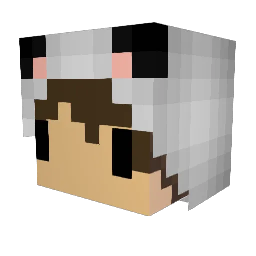 swingingpanda Minecraft avatar head, 3D render