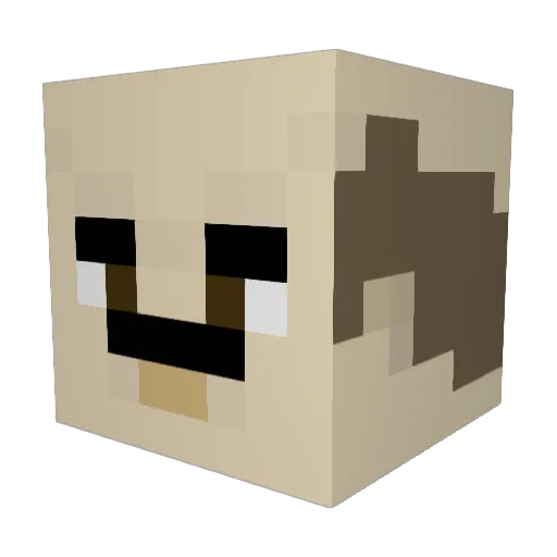 swipa916 Minecraft avatar head, 3D render