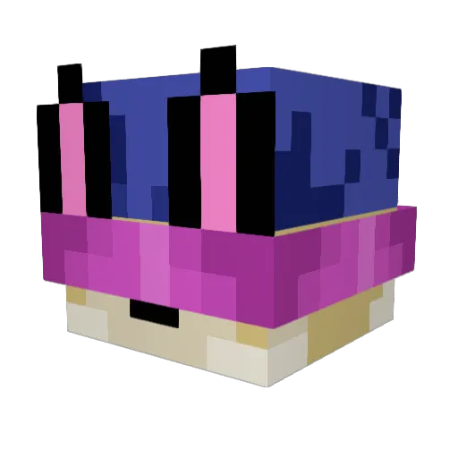 swipha Minecraft avatar head, 3D render