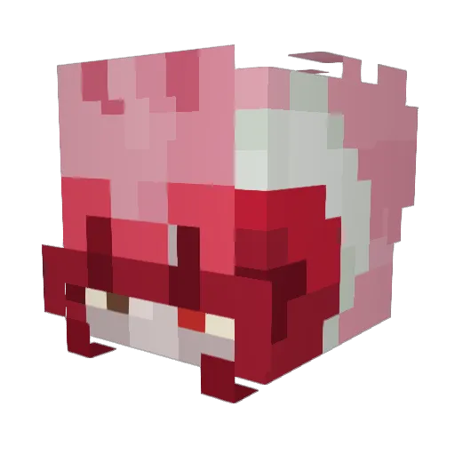 swipnn Minecraft avatar head, 3D render