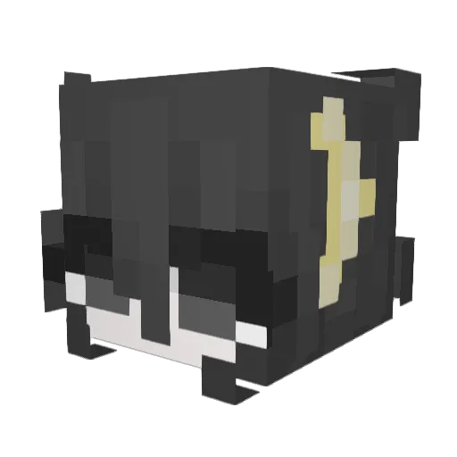 swirlycats Minecraft avatar head, 3D render