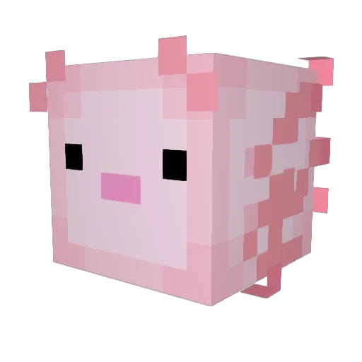 swishon Minecraft avatar head, 3D render