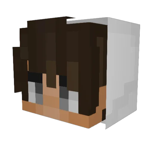 switc14 Minecraft avatar head, 3D render