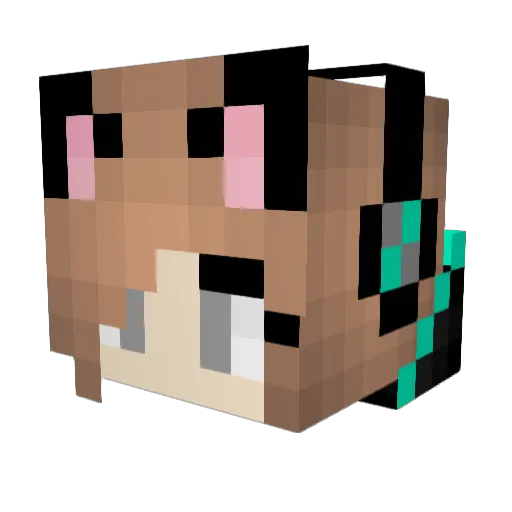 switch3304 Minecraft avatar head, 3D render
