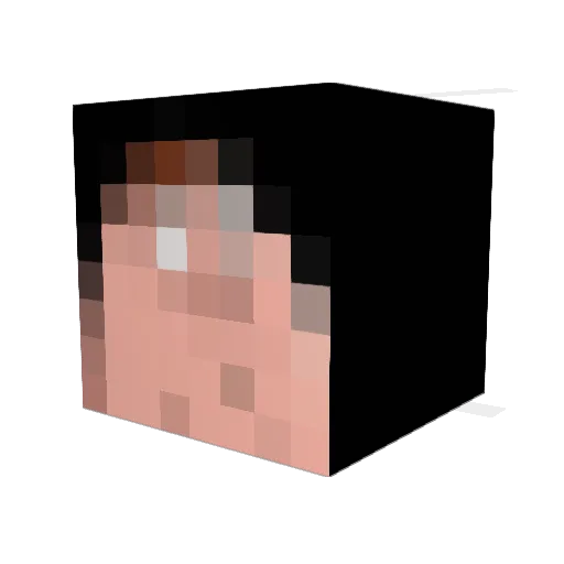 switch9887 Minecraft avatar head, 3D render