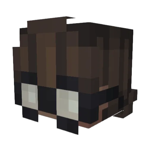 switchwastaken Minecraft avatar head, 3D render