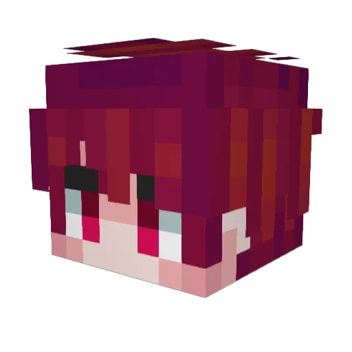switii Minecraft avatar head, 3D render