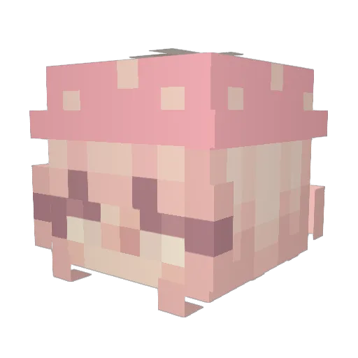 switziee Minecraft avatar head, 3D render