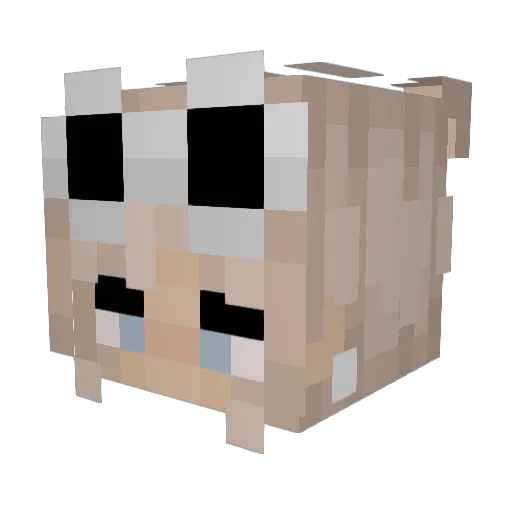swizzelcake Minecraft avatar head, 3D render