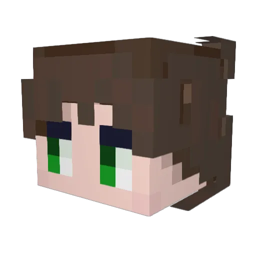 swj244 Minecraft avatar head, 3D render