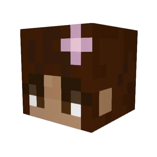 swkulls Minecraft avatar head, 3D render