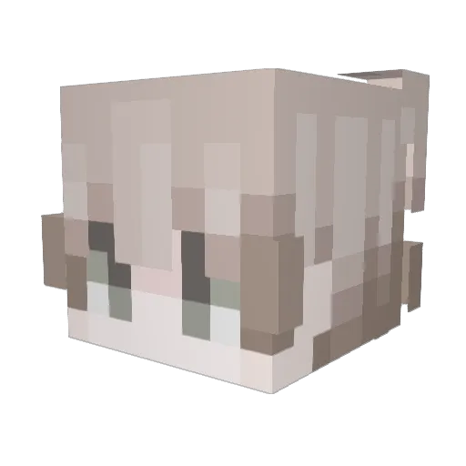 swkv Minecraft avatar head, 3D render