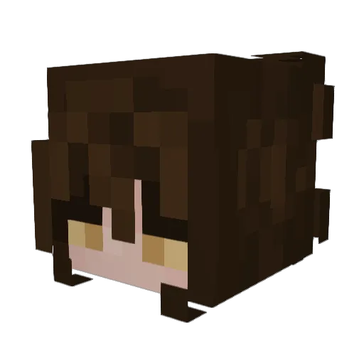 Minecraft-Avatar von swlem: Kopf als 3D-Render