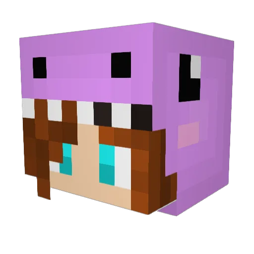 swmine Minecraft avatar head, 3D render