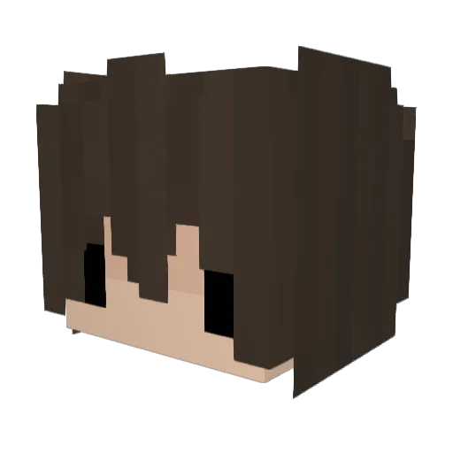 swmm Minecraft avatar head, 3D render