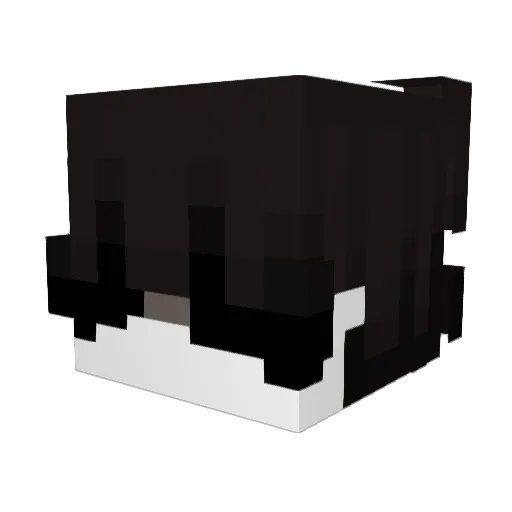 swnnzz Minecraft avatar head, 3D render