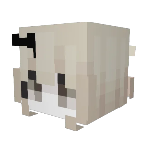 swnsita Minecraft avatar head, 3D render