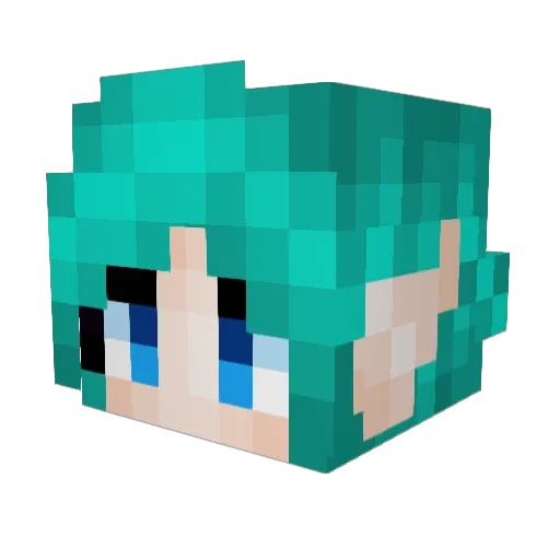 swojo135 Minecraft avatar head, 3D render