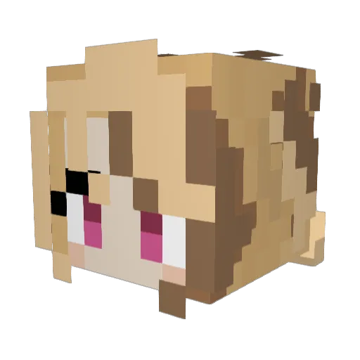 swole__ Minecraft avatar head, 3D render