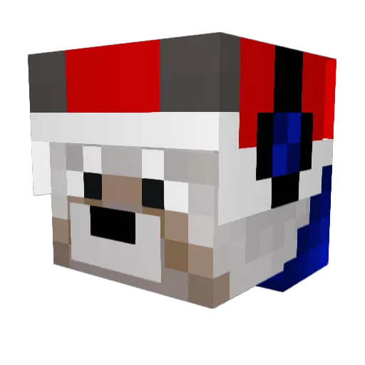swompybingbong Minecraft avatar head, 3D render