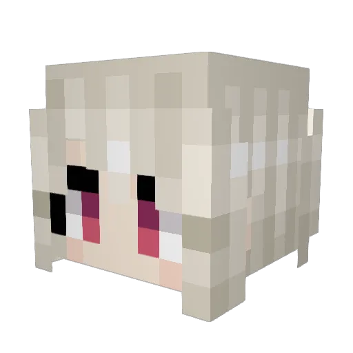 swoomp Minecraft avatar head, 3D render