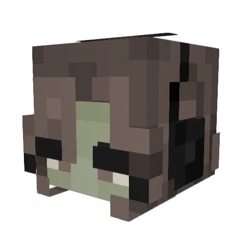 swoongie Minecraft avatar head, 3D render