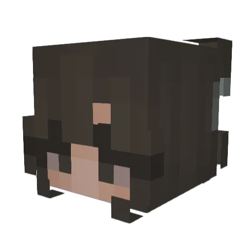 swoony2 Minecraft avatar head, 3D render