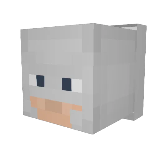 swordcannon7 Minecraft avatar head, 3D render