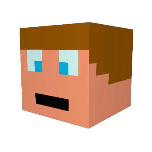 swordcraftt Minecraft avatar head, 3D render