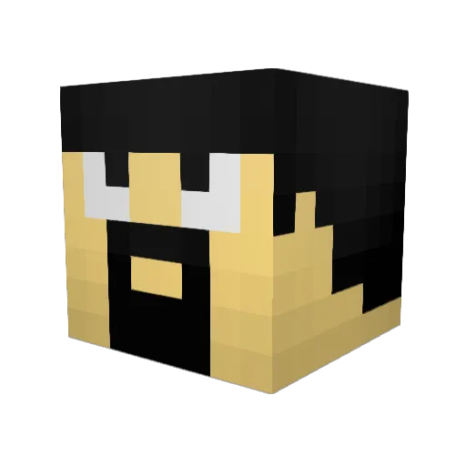 swordfire421 Minecraft avatar head, 3D render