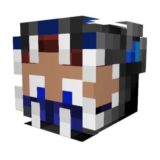 swordgunner007 Minecraft avatar head, 3D render