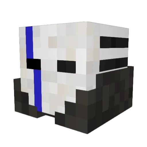 swoter3 Minecraft avatar head, 3D render