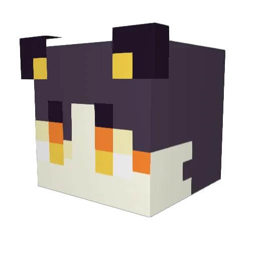 swrdsfish Minecraft avatar head, 3D render