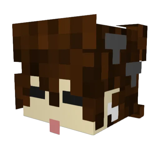 swrvne Minecraft avatar head, 3D render