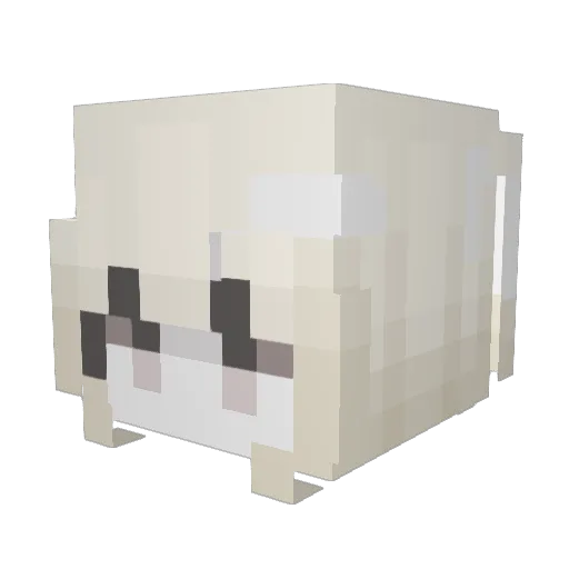 swskia Minecraft avatar head, 3D render
