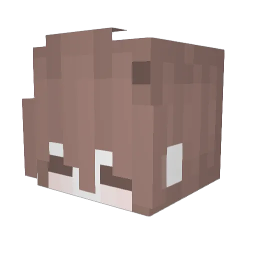swty_moon Minecraft avatar head, 3D render