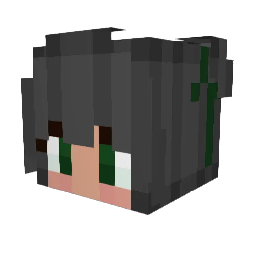 swueetbean Minecraft avatar head, 3D render