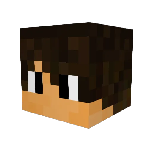 swufebin Minecraft avatar head, 3D render