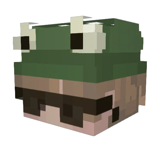 swushtein Minecraft avatar head, 3D render