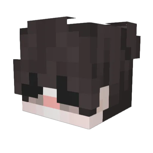 swuxi Minecraft avatar head, 3D render