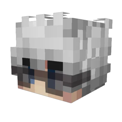swxxtnerr_ Minecraft avatar head, 3D render